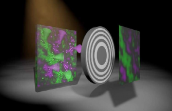 Introducing a new technique to produce color X-ray images quickly and efficiently